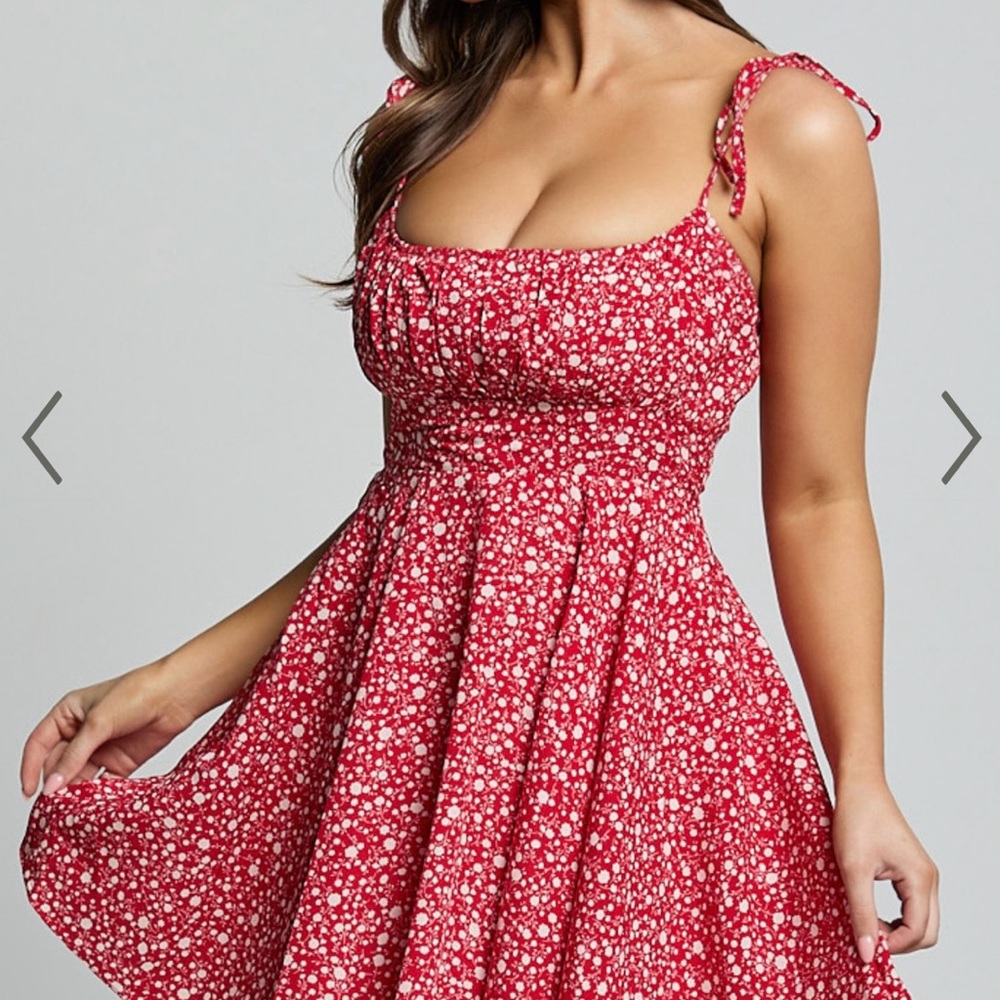 Showpo Summer Jam Strappy Mini Sundress in Red Floral